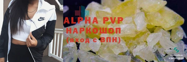 амф Зеленокумск