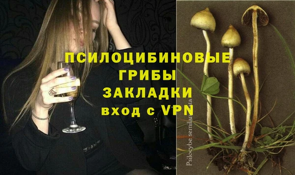 амф Зеленокумск