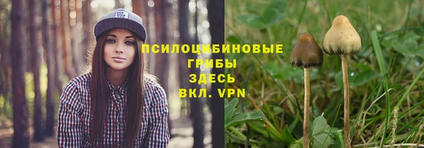 прущие грибы Зеленодольск