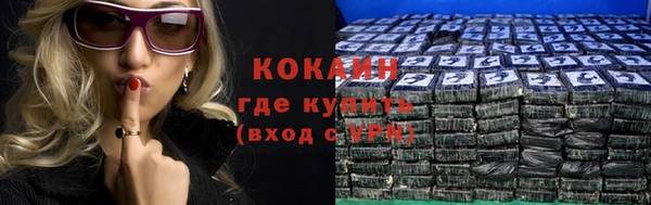 прущие грибы Зеленодольск