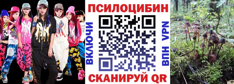Псилоцибиновые грибы ЛСД  Щёкино 